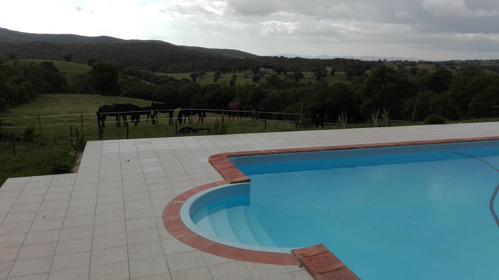 Agriturismo Collelungo di Maremma Diaccialone Esterno foto