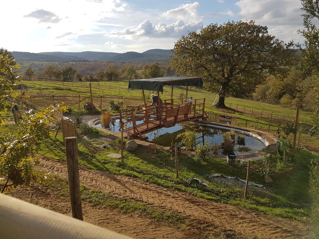 Agriturismo Collelungo di Maremma Diaccialone Esterno foto