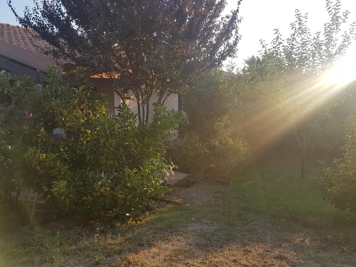 Agriturismo Collelungo di Maremma Diaccialone Esterno foto